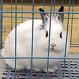 用戶頭像