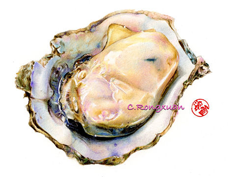 【彩铅手绘】海蛎子