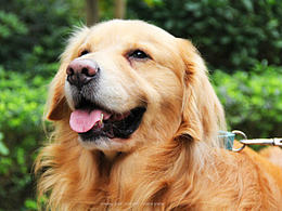 丰泽湖山庄碎片拍