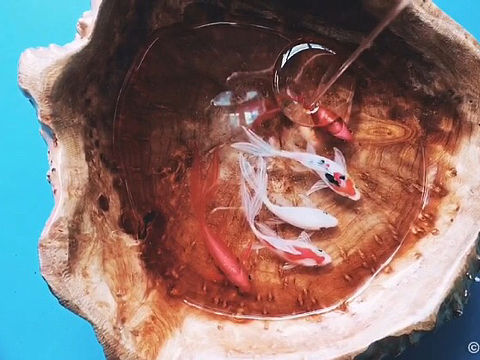 前程似锦