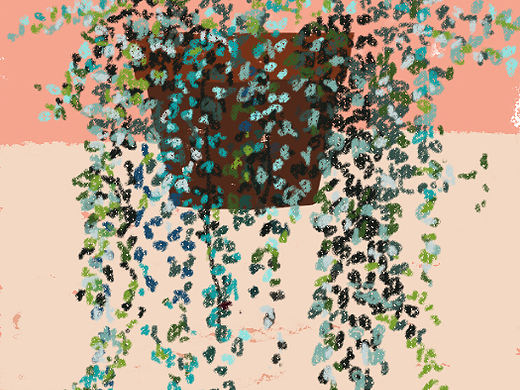 3.20原創(chuàng)插畫植物（個(gè)人主頁(yè)-ZNDM2ODMyOTY=） - 創(chuàng)作習(xí)作 - 站酷設(shè)計(jì)師胡堯兒原創(chuàng)素材 - 站酷ZCOOL