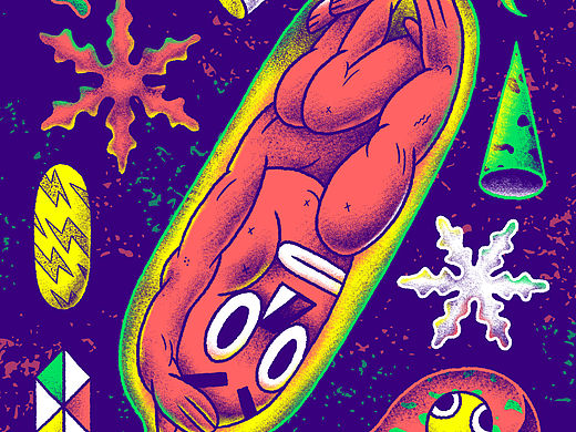 杜蕾斯官微节气插图海报(内有彩蛋)