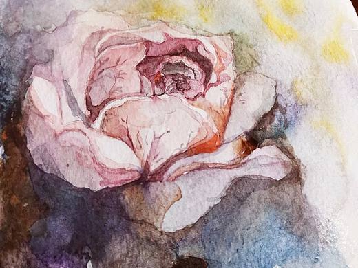 温柔而坚定的生活