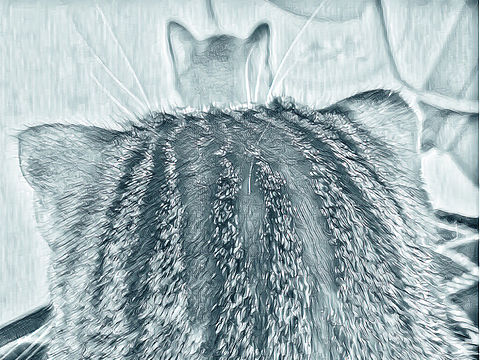 铲屎官日志（个人主页-ZMjkxNjU0MzY=） - 绘画 - 站酷设计师tangguo19811030原创素材 - 站酷ZCOOL