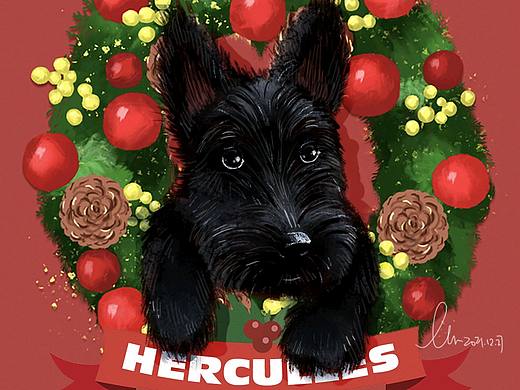 怎么会有这么黑的修勾🐶