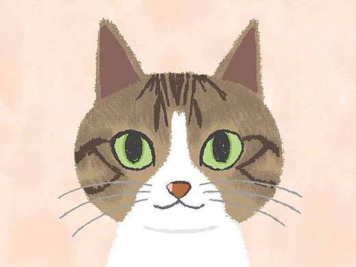 猫咪插画  Chie Katayama  