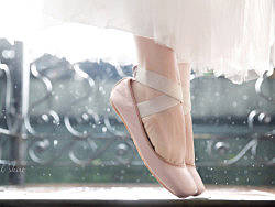 dreamful skirt