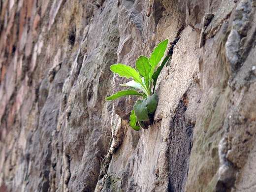 倔强（个人主页-ZMjIzOTAwNjQ=） - 字体/字形 - 站酷设计师于沐宁设计原创素材 - 站酷ZCOOL