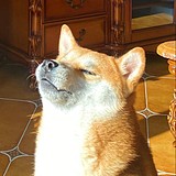 东余杭的头像