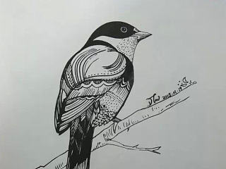 整理这些日子的涂鸦（bird）（个人主页-ZNzA5MzgxNg==） - 创作习作 - 站酷设计师W啊W原创素材 - 站酷ZCOOL