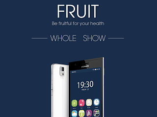 Fruit