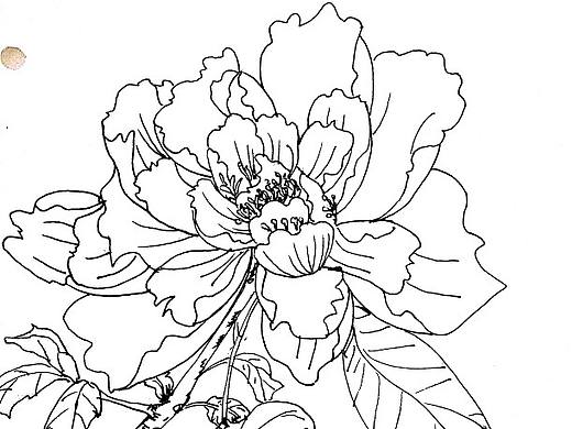 线描（个人主页-ZMzA1MjgzNzI=） - 创作习作 - 站酷设计师眉茶原创素材 - 站酷ZCOOL