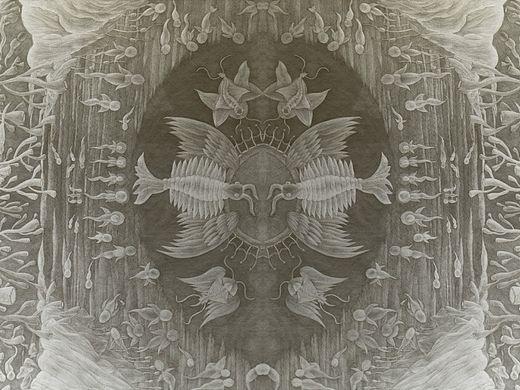 寒武紀(jì)——“看見”（個(gè)人主頁(yè)-ZMTI3OTkyMzI=） - 圖案 - 站酷設(shè)計(jì)師西邊云彩大妖怪原創(chuàng)素材 - 站酷ZCOOL