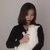 胖虎属猪的头像