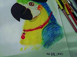 提醒自己往前飞