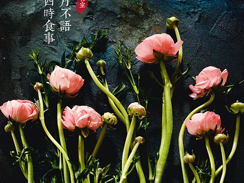 一组花朵