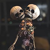 嘎吧啦的头像