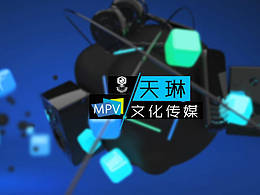 天琳文化公司片头