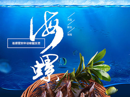海螺