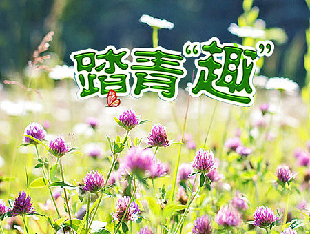 踏青趣（个人主页-ZMTU4MTkwNTY=） - 品牌 - 站酷设计师文艺青年_123原创素材 - 站酷ZCOOL