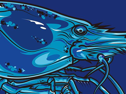 虾/CNHUD服装印花图案