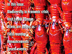 最近做的一本画册（个人主页-ZMjU5NzEyMA==） - 书籍/画册 - 站酷设计师梧桐鸟原创素材 - 站酷ZCOOL