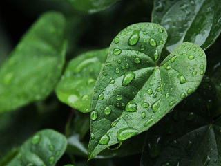 最近以来的摄影作品