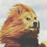 太阳zhang的头像