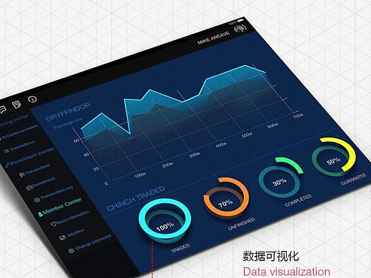 数据可视化-iPad（个人主页-ZMTM2NDkwMDA=） - APP界面 - 站酷设计师RaiseFl原创素材 - 站酷ZCOOL