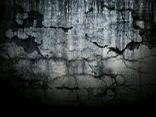 随你的便 ╭(╯^╰)╮