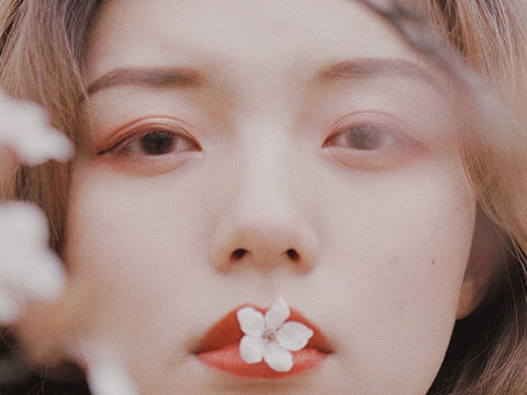 怀念三月的樱花🌸
