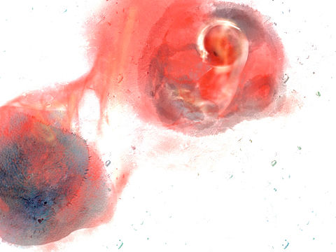 新生（个人主页-ZNDEwNjQyMzY=） - 概念设定 - 站酷设计师L_红豆原创素材 - 站酷ZCOOL