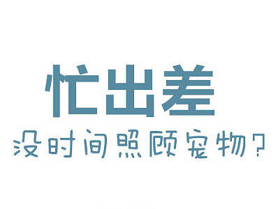宠喔app启动页