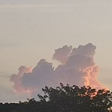 tling的头像