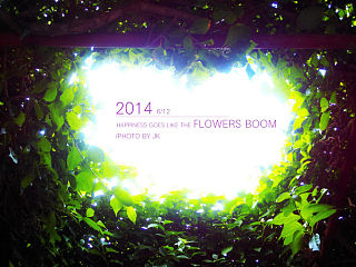 FLOWERS BOOM（個人主頁-ZMzg3MTQyMA==） - 人像攝影 - 站酷設(shè)計師JACKEVIN1990原創(chuàng)素材 - 站酷ZCOOL