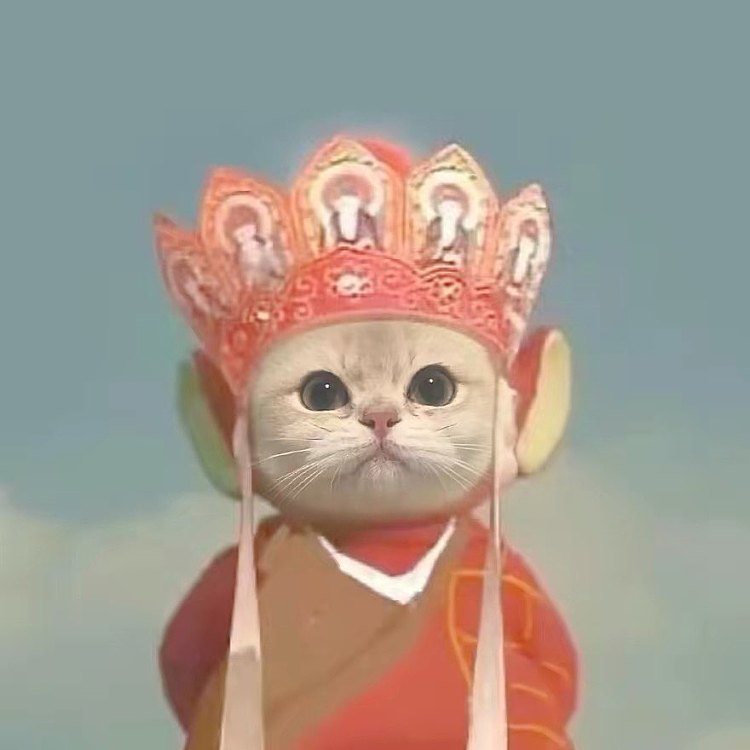 王泡芙猫头像图片
