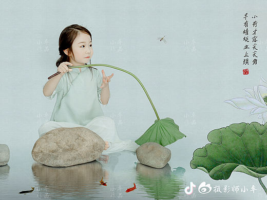 小牟工笔画摄影|小荷才露尖尖角，早有蜻蜓立上头