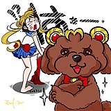 Evil712的头像