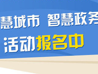 智慧城市 智慧政务活动