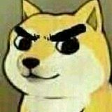 浓眉大眼QAQ的头像