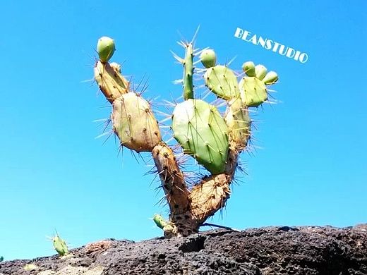 HG印象（個人主頁-ZMTQwNDYyNDg=） - 風(fēng)光攝影 - 站酷設(shè)計師doudou773原創(chuàng)素材 - 站酷ZCOOL