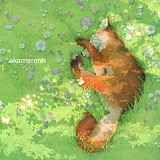 AKAMERENN的头像