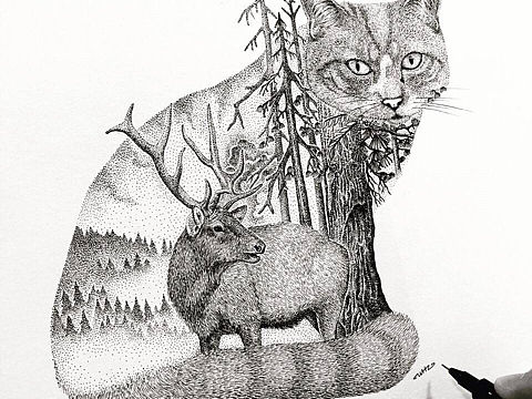猫·景