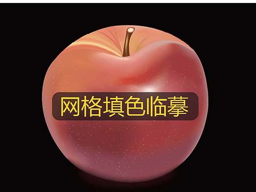 AI网格矢量绘制苹果