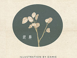 花卉植物系列插画古风素雅简约随笔画