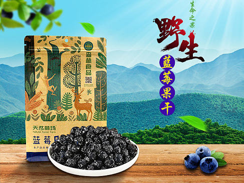 蓝莓果干详情页