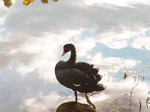 部分摄影作品(一)