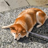 KEENKEEN的头像