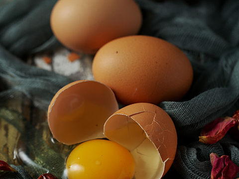 鸡蛋