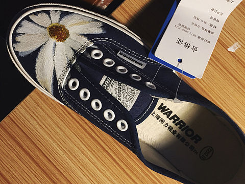 《雏菊与虎鲸》